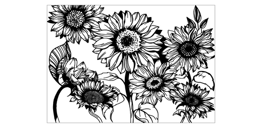 40oz Sunflower Dream